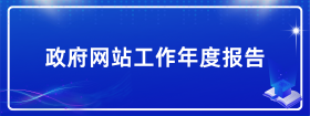 政府網(wǎng)站工作年度報(bào)告