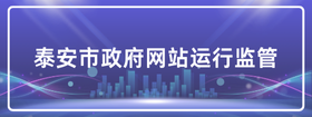 泰安市政府網(wǎng)站運(yùn)行監(jiān)管
