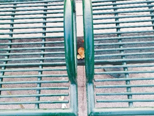 春節(jié)假期出游 莫讓不文明行為煞風(fēng)景